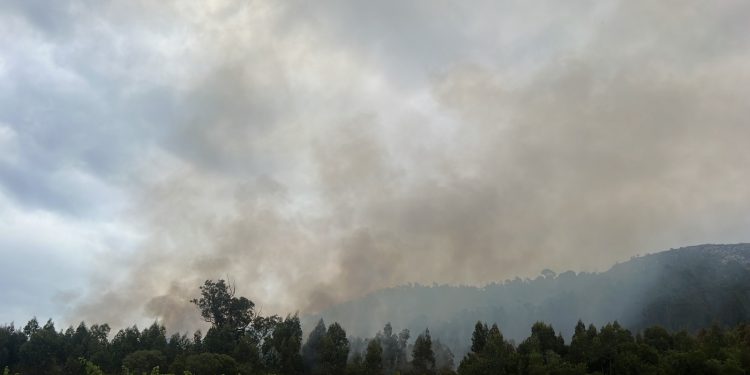 Fiscalía investiga intencionalidad en incendio en Cerro del Toro
