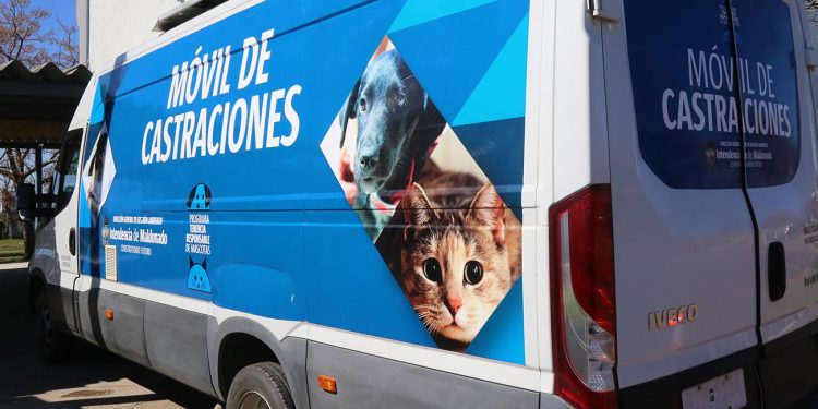 IDM alcanzó las 5000 castraciones gratuitas en 2022 y continuará con un ambicioso calendario para 2023