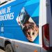 IDM alcanzó las 5000 castraciones gratuitas en 2022 y continuará con un ambicioso calendario para 2023