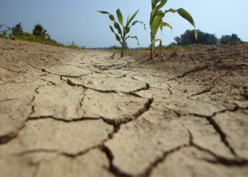 Ministerio de Ambiente y OSE anunciaron medidas para mitigar efectos de la sequía en Minas