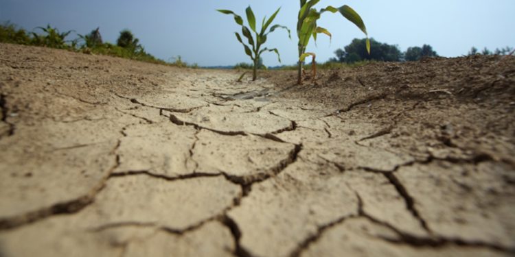 Ministerio de Ambiente y OSE anunciaron medidas para mitigar efectos de la sequía en Minas