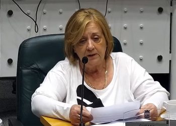 Edila colorada denuncia situación de puente peatonal en ruta 39