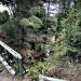 Uruguayo de 21 años fallece en Bariloche