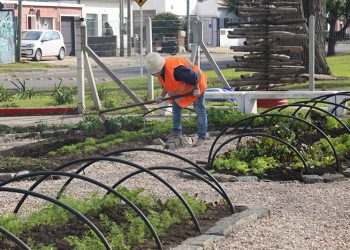 Jornales Solidarios Inclusivos; comienzan inscripciones