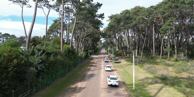 Remodelación de Avenida del Mar transformará la zona y fue informada a los vecinos