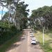 Remodelación de Avenida del Mar transformará la zona y fue informada a los vecinos