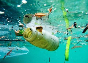 Día Mundial del Medio Ambiente: se conmemora haciendo foco en la reducción de la contaminación por plásticos