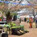Mercado Central, la feria de los emprendedores tuvo su edición de julio en el Cuartel de Dragones