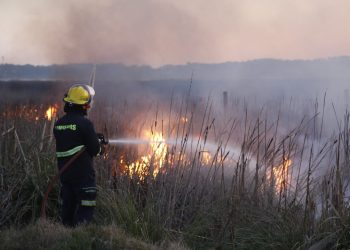IDM colaboró con camiones cisterna para controlar incendio en Laguna del Diario