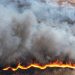 Bomberos controló incendio en campo próximo a la Laguna del Diario