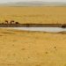 Emergencia agropecuaria continúa hasta fin de año