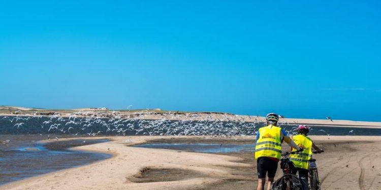 Día Mundial del Turismo: CETUR propone un diálogo sobre turismo y sostenibilidad