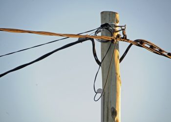 UTE recuerda que vegetación cerca de las redes eléctricas puede ocasionar interrupciones del suministro