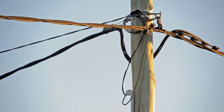 UTE recuerda que vegetación cerca de las redes eléctricas puede ocasionar interrupciones del suministro