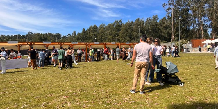 Exitoso Festival «Pan y Queso» en el MACA
