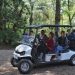 MIEM entrega vehículo eléctrico para recorridos en el bosque de Arboretum Lussich