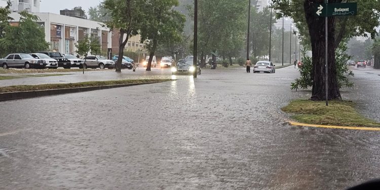 Precaución en el tránsito ante intensas precipitaciones; Cecoed monitorea situación