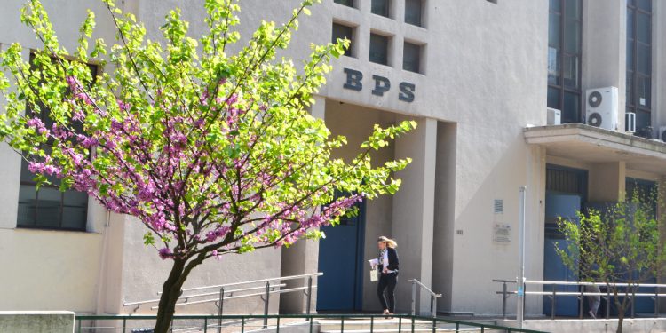 BPS ofrece oportunidades laborales para profesionales en Informática con salarios que superan los 113.000 pesos