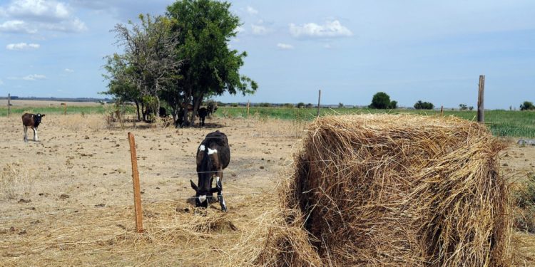 En algunos puntos del país aún existen poca humedad en el suelo y escasez de agua en las napas subterráneas