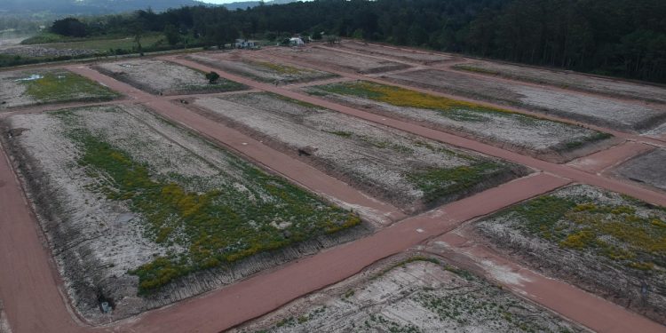 Oportunidad: 482 terrenos en Urbanización se sortearán al norte de Cerro Pelado