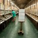 Museo del Libro abrirá en invierno en La Barra de la mano de Pablo Etchegaray