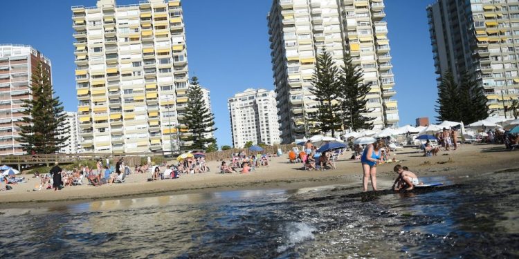 Cámara Inmobiliaria Punta del Este Maldonado denuncia las «habituales estafas» en alquileres de la temporada