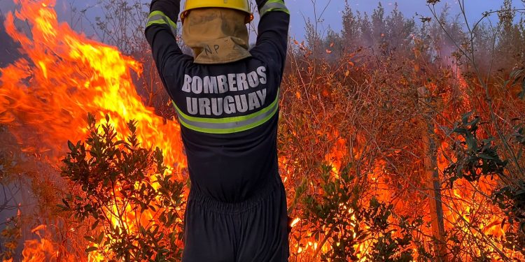 Bomberos combatió incendio en forestal en Camino Los Ceibos