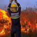 Bomberos combatió incendio en forestal en Camino Los Ceibos