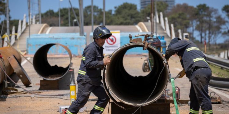 Maldonado es el departamento con mayor tasa de empleo y Río Negro con mayor desempleo