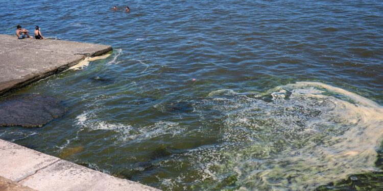 Presencia de cianobacterias aumentará en los próximos días, según Ambiente