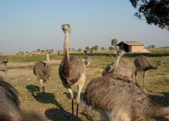 Llega “Maldonado365” la primera Feria de Turismo Rural y Natural de Maldonado