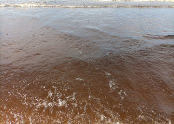 Advierten por baños en aguas rojizas en Punta Negra