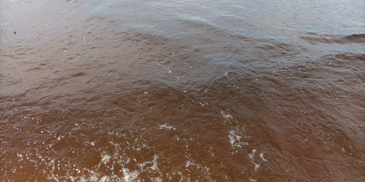 Advierten por baños en aguas rojizas en Punta Negra