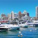 Puerto de Punta del Este se mantiene con el 100 % de ocupación