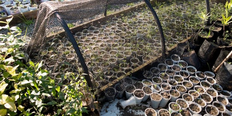 Gobierno anunció un plan de apoyo para productores hortícolas