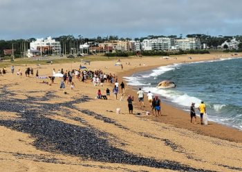 Ballena que apareció en Piedras del Chileno será enterrada en la duna