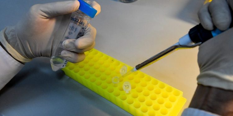 Un hombre de 47 años fue diagnosticado con encefalitis equina