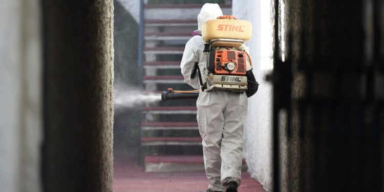 25 casos nuevos de dengue en Uruguay, con lo cual el total alcanza los 183