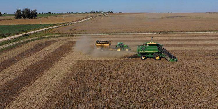 Ya se registraron más de 1300 explotaciones agropecuarias en el Censo Nacional del sector