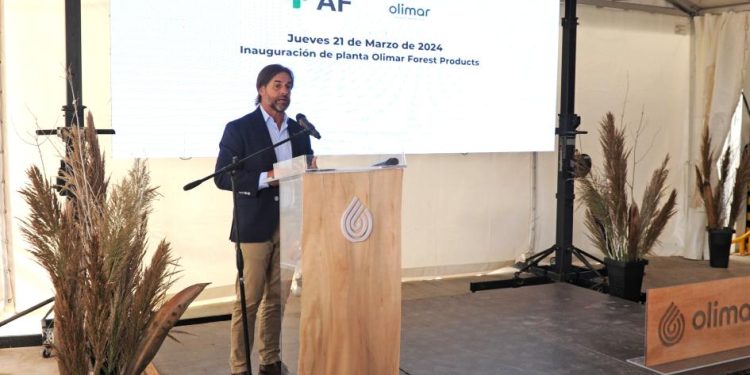 Nueva planta forestal inició operativa con una inversión de 7 millones de dólares