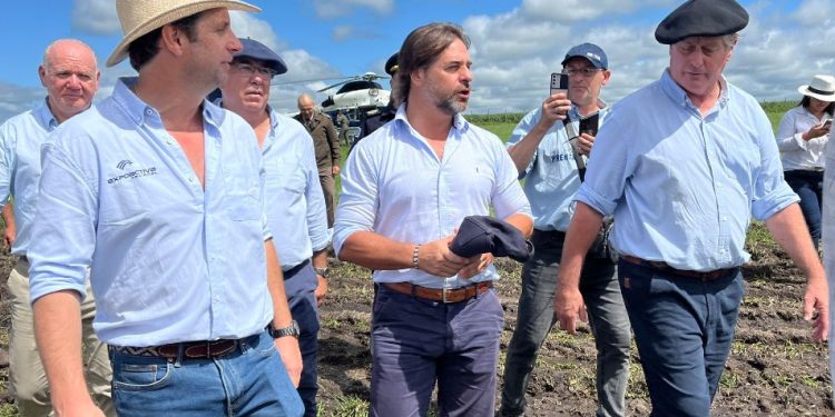Lacalle Pou pide terminar con división entre campo y ciudad
