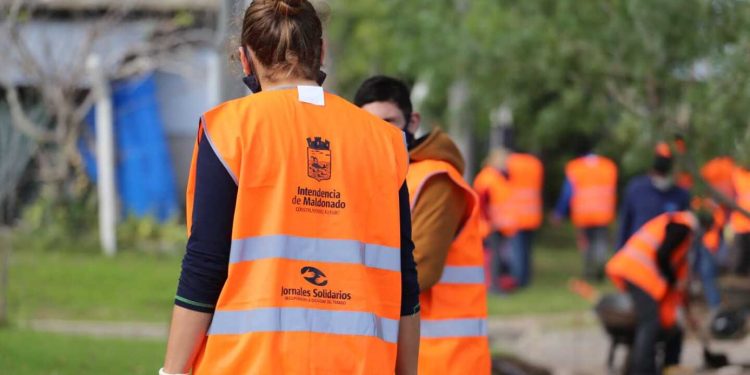 Anuncian inscripciones para Jornales Solidarios: IDM aumenta cupos con recursos propios