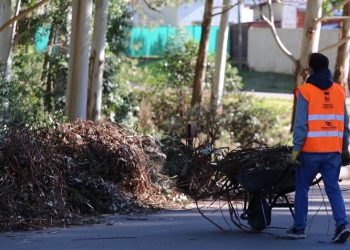 Jornales Solidarios: el miércoles 24 de abril se sortearán 535 puestos en Maldonado