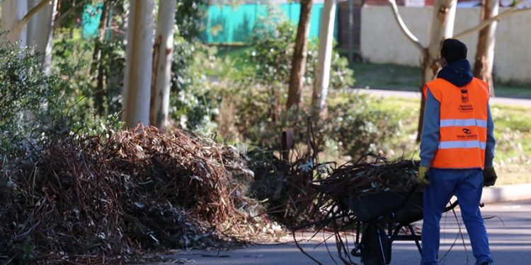 Jornales Solidarios: el miércoles 24 de abril se sortearán 535 puestos en Maldonado