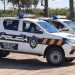 Un hombre robó un caballo y terminó en prisión