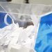 🔴Vivo – Sorteo de Jornales Solidarios en la IDM