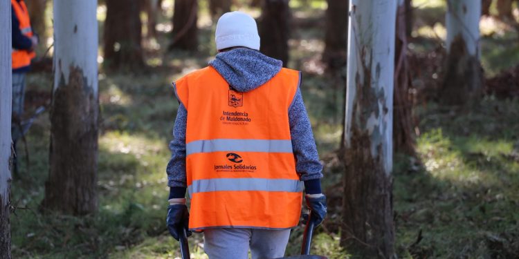 Jornales Solidarios: último día para anotarse