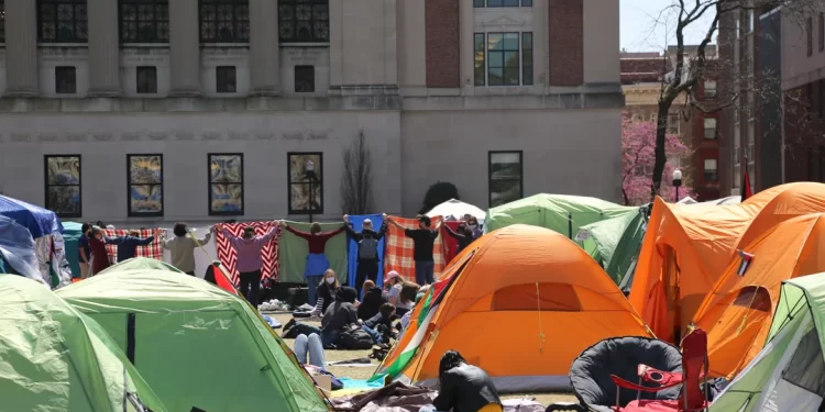 Estados Unidos: máxima tensión por las protestas en las universidades y la orden policial de desalojar