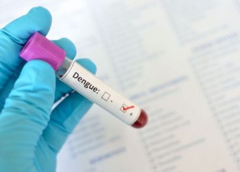 Maldonado registra 60 casos de dengue