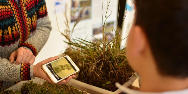 Jornada de ciencia + Cineforo en el CURE